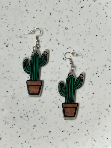 Cacti